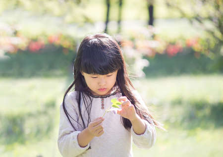 The little girl likes flowers. On the lawn next to the park to play.の写真素材