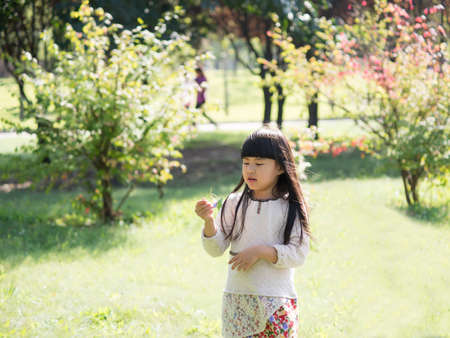 The little girl likes flowers. On the lawn next to the park to play.の写真素材