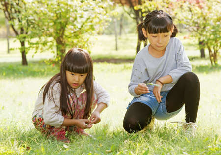 Two little girls pick wild flowers on the grassの写真素材