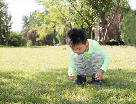 A little boy is picking mushrooms in the grassの写真素材
