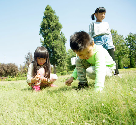 The boy and the girl looking for mushrooms in the grass.の写真素材