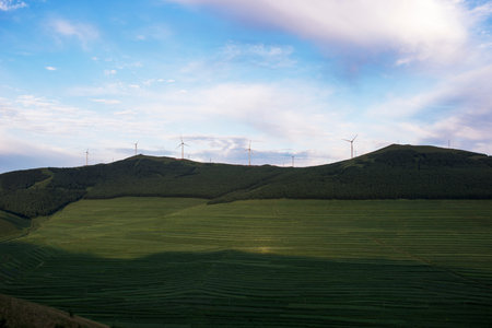 wind turbines on the hillside with forest in summer
