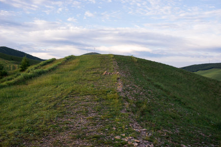 wind turbines on the hillside with forest in summer