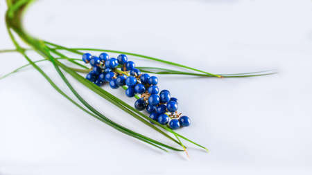 Berries On white plate On Wooden Table, Top Viewの写真素材