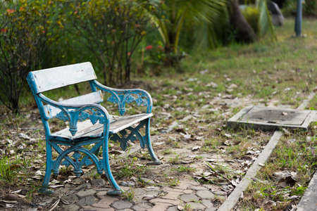 Old wooden bench in the parkの写真素材