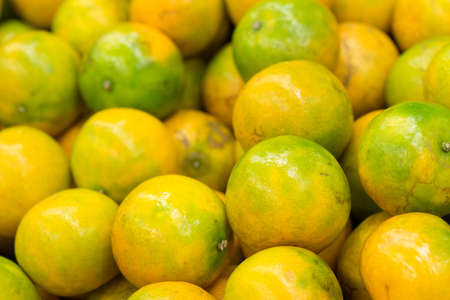 Bunch of fresh mandarin orangesの写真素材