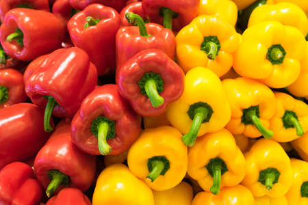 Red and yellow bell peppers capsicum backgroundの写真素材