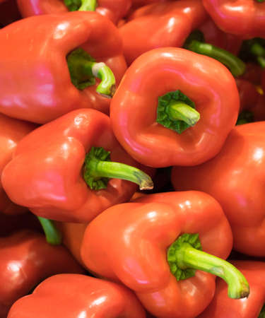 Red bell peppers capsicum backgroundの写真素材