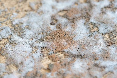 Thick mold texture on wood