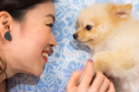 Asian girl and her cute dog staring into each other's eyes, shallow depth of field, focus on girl's eyeの写真素材