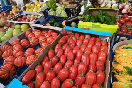 Tomatoes and variety of organic vegetables and fruits in fresh marketの写真素材