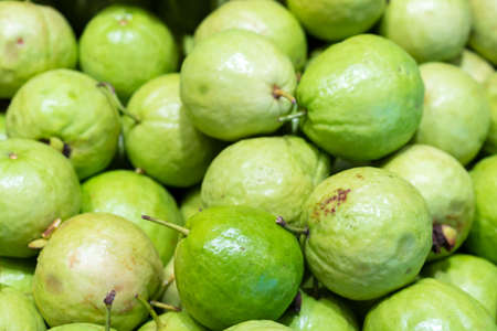 Pile of fresh guavas backgroundの写真素材