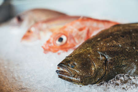 Hirame, olive flounder, bastard halibut or Japanese halibut and assorted fresh raw fishes on crushed ice. Kitchen food preparation, fresh supermarket or fish market conceptの写真素材