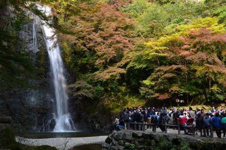 minoh waterfallのeditorial素材