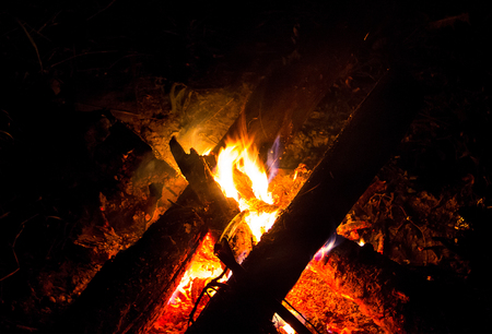 campfire bright flame in the dark on a hot campaign halt outdoorの写真素材
