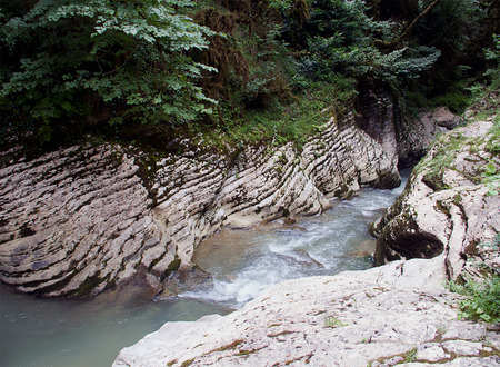 pleasant walk along the mountain clean river in the forestの写真素材