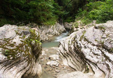 Creek clean mountain river among rocks covered with mossの写真素材