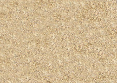 coarse sand grains with natural natural texture of the foundationの写真素材