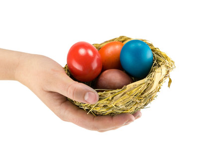 Red blue colored eggs painted lying in a natural nest on the palm of a female hand