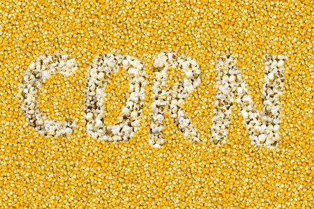 word corn inscription is composed of popcorn on a yellow yellow grain backgroundの写真素材