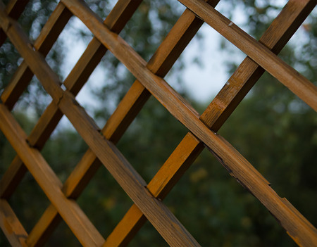 Dark brown wooden grille with oblique diamond-shaped holes natural texture patternの写真素材