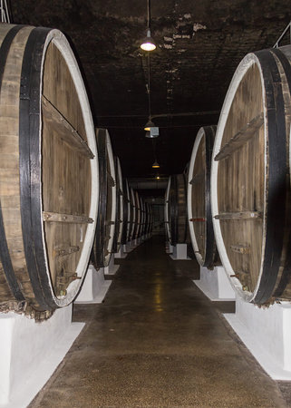 Corridor warehouse row of large wooden barrels of wine storage whiskey in the basement