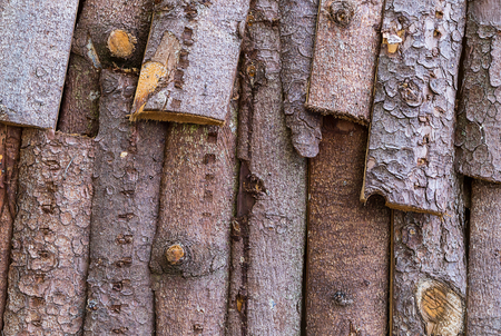 Background texture bark with coniferous species material for construction roof fence eco building natural foundationの写真素材