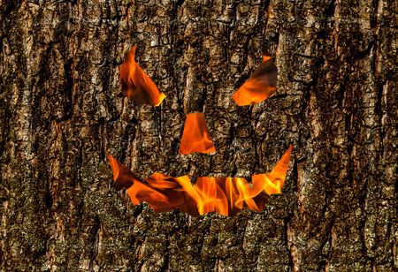 creepy smile wooden background, fire mask on the bark holiday halloween background festiveの写真素材