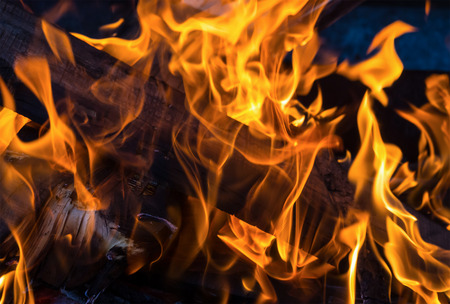 fire background. orange flame log scorched close-up on a dark backgroundの写真素材