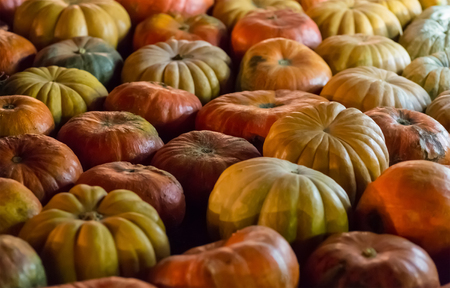 yellow ribbed pumpkin background. Vintage orange fruits pattern rustic base autumnal seasonの写真素材