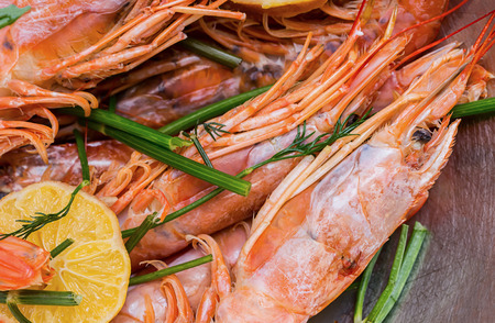 many whole langoustine with head and claws slice of lemon with dill branchesの写真素材
