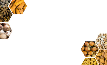 symmetrical menu design decoration symmetrical honeycomb corner nuts forest almonds cashew and...