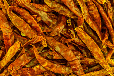base culinary lots of pods orange-red chili peppers bright web menu designの写真素材