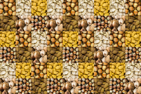 assortment of different nuts set of cashew hazelnut hazelnuts almonds coconut whole one hundred square square base menu designの写真素材