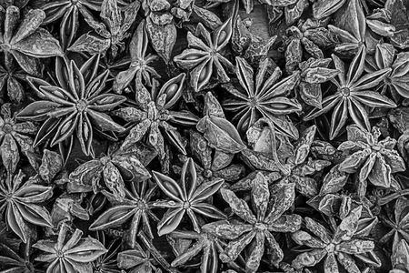 textured background monochrome starry anise crushed dark base design cooking effect sepia contrasting frameworkの写真素材