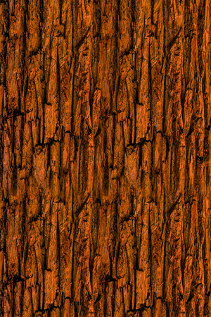 light brown surface tree bark vertical lines uneven weathered surface natural eco baseの写真素材