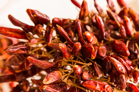 set hot chili peppers Hungarian mini pod many fruits strongly pungent aromatic base saucesの写真素材