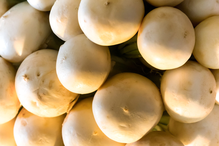 white radish fresh vegetable close-up of many fruits tray farmer natural products tray marketの写真素材