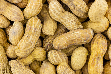 background peanut light beige base untreated long many beans earthy culinary base