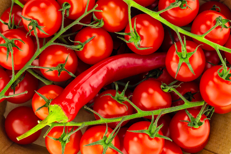 tomato mini red bright on a branch a lot of vegetables and chili pepper close-up background designの写真素材