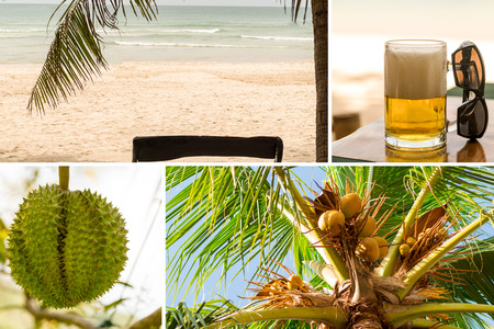 paradise rest collage asia beach sand ocean coconuts on palm green prickly durian one-piece fruit refreshing mug of beerの写真素材