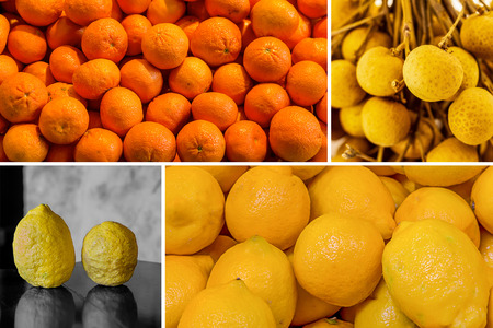 fruity bright sunny collage pile of tangerines and lemon a pair of wild lemons with rough skin and juicy longan designの写真素材