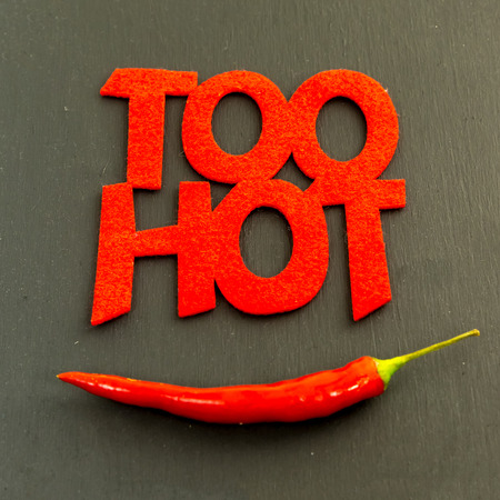 base background inscription menu inscription too hot hot chili peppers long pod on a black background colorful base designの写真素材