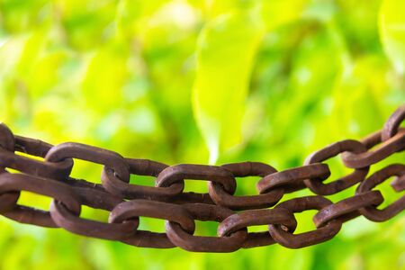 pair of iron chain rusty old big rings on blurred green background, grunge designの写真素材
