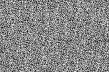 buckwheat grain background vegetable toned background background toned crop web designの写真素材