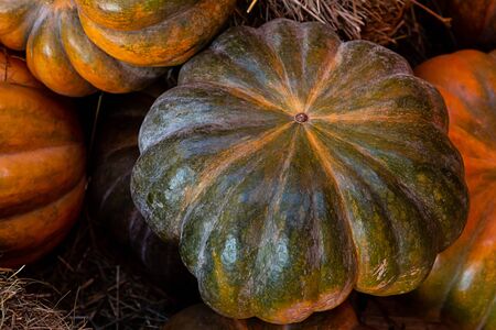 multifaceted dark green pumpkin ripe mini vegetable background base close-upの写真素材