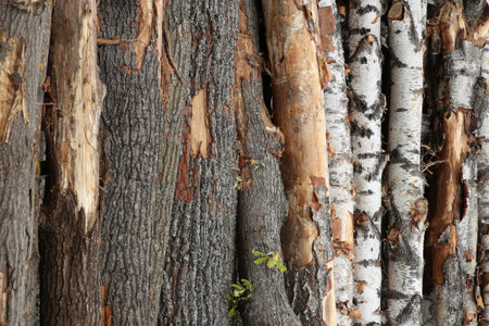 wooden panels natural hard base vertical logs white brown close-up base