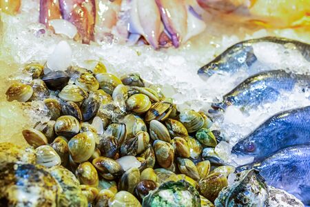 set of venus shell (Meretrix lyrata) crushed ice freshness preservation marine delicacies fish asia tray backgroundの写真素材