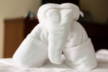 white elephant towel decor greeting hotel traditional. Complicated terry towel artの写真素材