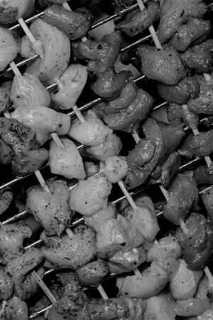 monochrome set meat platter gray base on wooden skewers culinary pattern baseの写真素材